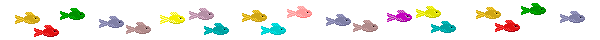 Fish Divider